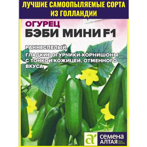 ������ ������ ������ ������������� ������� ����-���� F1 - 5 ��. ������ ������ ��� ��������� ������ � ������ ����