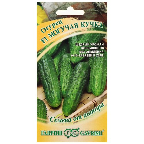 ������ ������ ������ ������ F1 ������� ����� 10 ��. ����