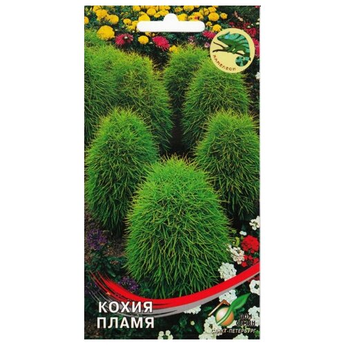 ������ ������ ����� �����, 70 ����� ����