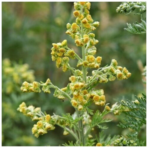 ������ ������ ������ ������ ������ ������� 1000 ��. ����