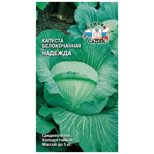 ������ ������ ������� ������������ ������� ����