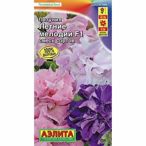 ������ ������ ������ ������� ������ ������� F1, ����� ������, ����������, (������) 5�� ����