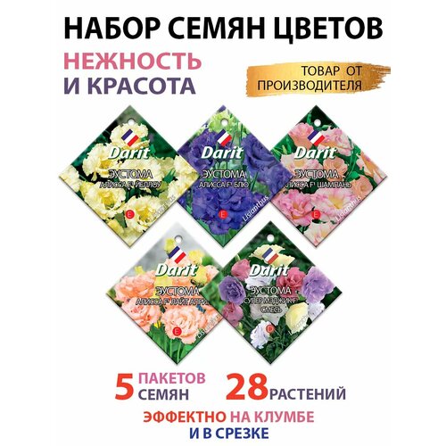 ������ ������ ������ ������� ����� 5 �� ����