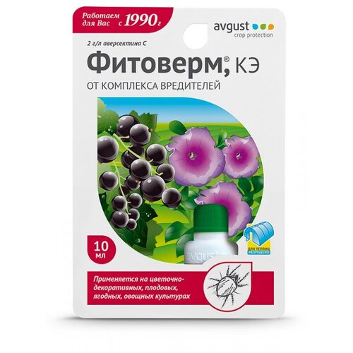 ������ ������ Avgust ����������� ��� ������ � ���������� ���������� �� ��������� ��������� ��������, 10 ��, 26 � ����