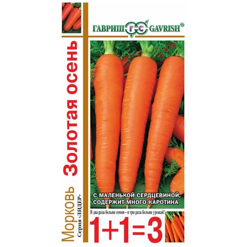 ������ ������ ������ ������� ������� ����� 4� ������� (������) 1+1 ����