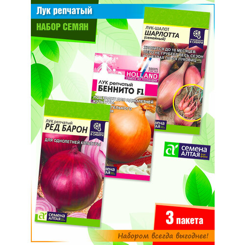 ������ ������ ����� ����� ��������� ���� 