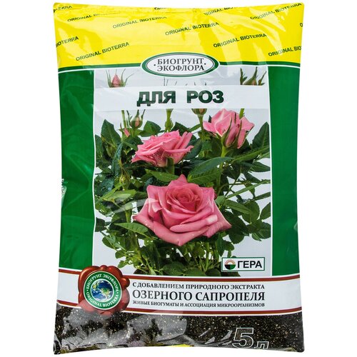 ������ ������ ����� ��� ��� 5 � ����