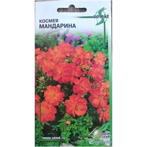 ������ ������ ������ ���������, 10 ����� ����