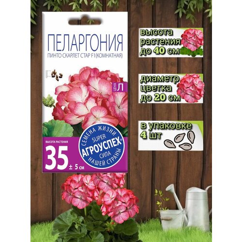 ������ ������ ������ ��������� ������ ��������� ���������� ����� ������� ���� ����