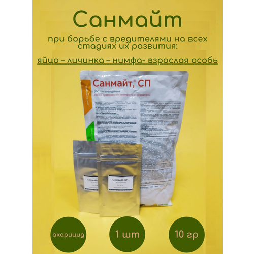 ������ ������ �������� ������� 2 �� �� 10 �� ����