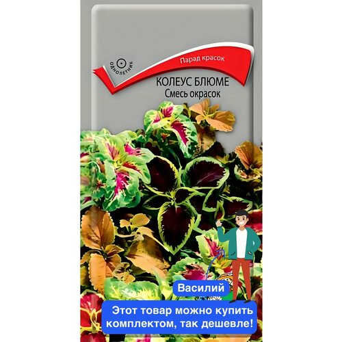 ������ ������ ����� ������ ����� ����� ������� ����