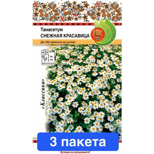 ������ ������ ����� ��������� ������� ��������� 3 ������ ����