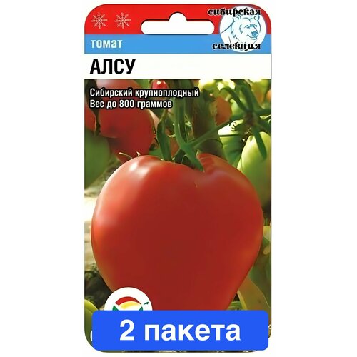 ������ ������ ������ ������ ��������� ��� 