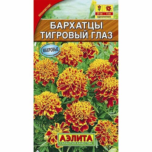 ������ ������ ������ �������� �������� ���� ����������, (������) 0,3� ����