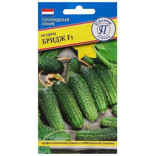 ������ ������ ������ ������ 