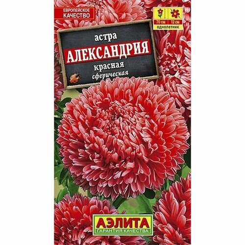 ������ ������ ������ ����� ����������� �������, ����������, (������) 0,1� ����