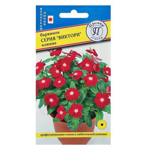 ������ ������ ������ ������ �������� 