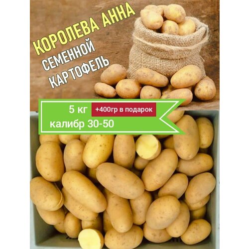 ������ ������ ��������� �������� �������� ���� 5 �� ������ ����