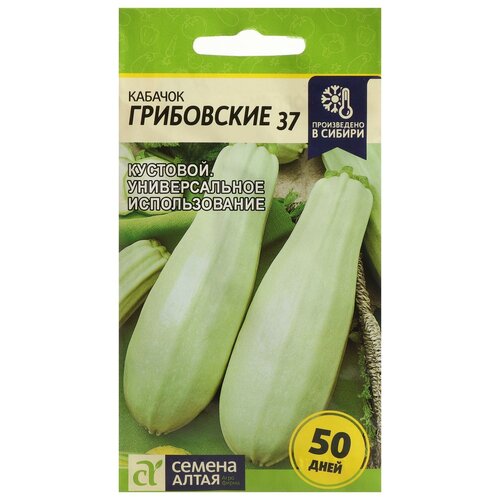 ������ ������ ������ ������� 