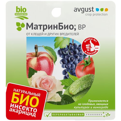 ������ ������ Avgust �������� �� ������ � ������ ���������� ���������, 45 ��, 45 � ����