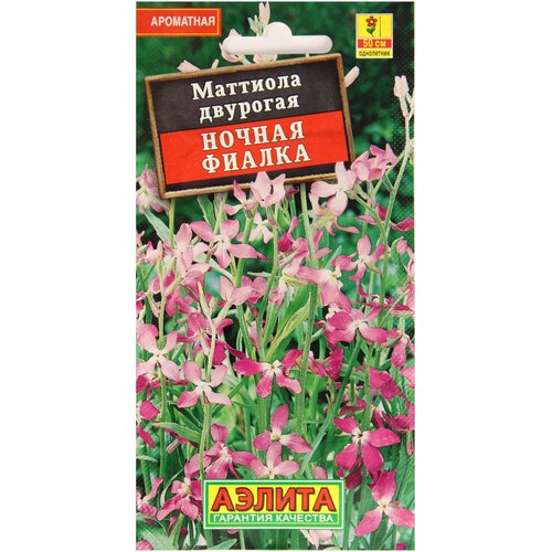 ������ ������ �������� ������ ������ ������, 0.5 �, ������ ����