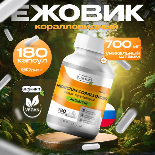 ������ ������ ������ ������������� 700��, ������� ������ �������, hercium coralloides ����