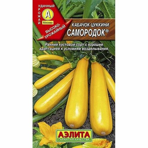 ������ ������ ������ ������� ��������� ������� (�����������) (������) 1� ����