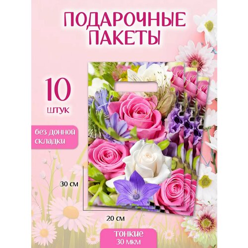 ������ ������ ������ ���������� ����� 10�� �� �������� �������� � ����� ����