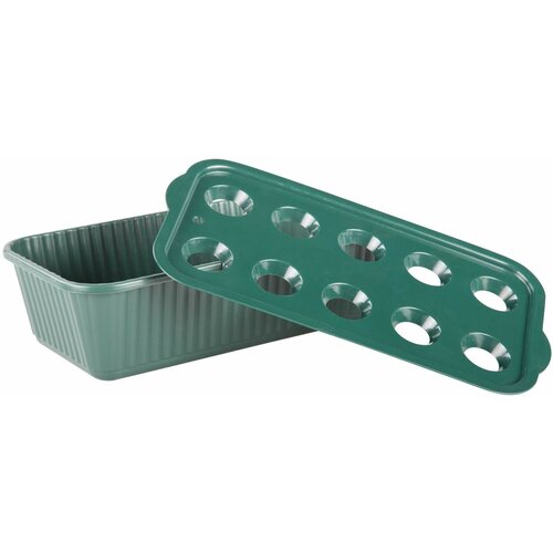 ������ ������ ����� ��� ����������� ������� ���� ����