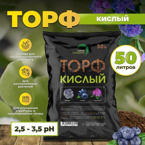 ������ ������ ���� ���� ������� �������� ������ ����������, 50 �, 10 �� ����