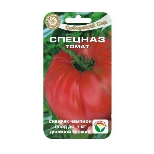 ������ ������ ������� 20�� ����� (��� ���) ����