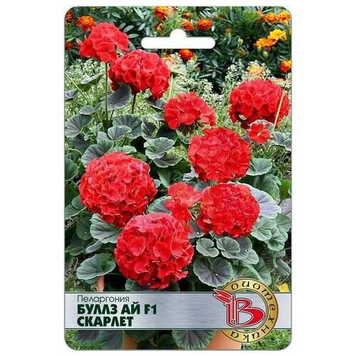 ������ ������ ���������� ����� �� F1 ������� 5�� �/����. ����