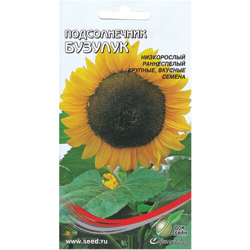 ������ ������ ������������ �������, 60 ����� ����