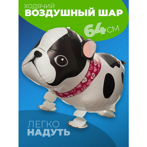 ������ ������ �������������� ������� ��� ������ ����