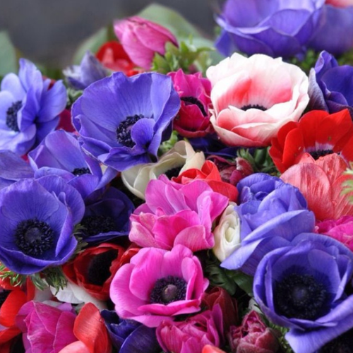 ������ ������ ��������� ( ������� ) �� ���� ���� 10 �� ����