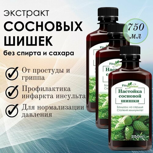 ������ ������ �������� �������� ����� 