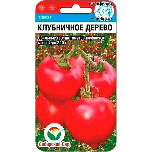 ������ ������ ����� ���������� ������ 20�� ��������� ��� ����