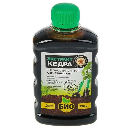 ������ ������ ��������� ���-�������� �������� �����, 0.25 �, 250 �, 1 ��. ����