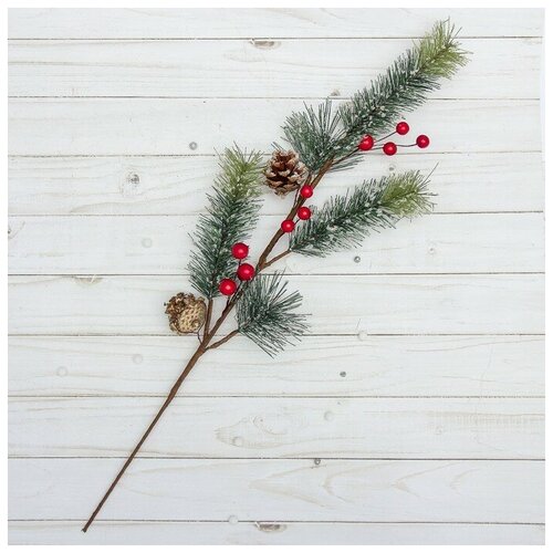 ������ ������ ����� 