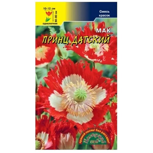 ������ ������ ������ ���� 