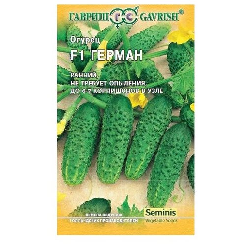 ������ ������ ������ ������ Seminis ������ ������ F1, �������� 5 �� ����