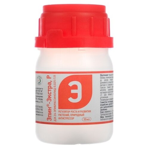 ������ ������ ��������� ���� � ����-������, 0.05 �, 1 ��. ����