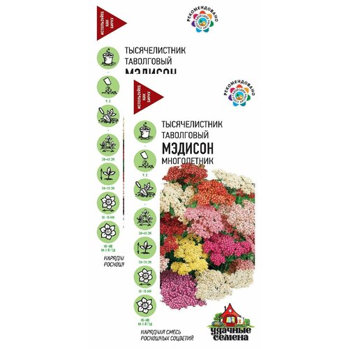 ������ ������ ������������� ������� ����� (0,05 �), 2 ������ ����