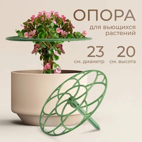 ������ ������ ��������� ��� ������, ��� ��������, ��������������, ����� ��� ��������, ������ � 23�20 1 �� ����