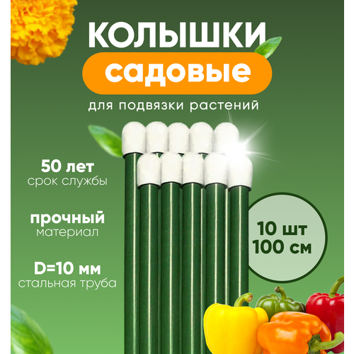 ������ ������ ������� ������� , ����� ��� �������� �������� ����� 1� 10�� ����