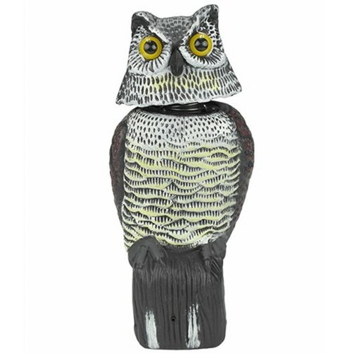 ������ ������ ���������� � �������� (2-�-1) ������������ ���� 