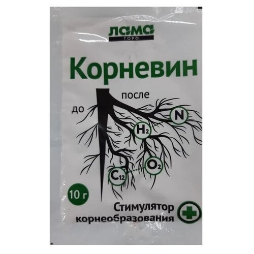 ������ ������ ��������� �������� ��������, 10 �, 1 ��. ����