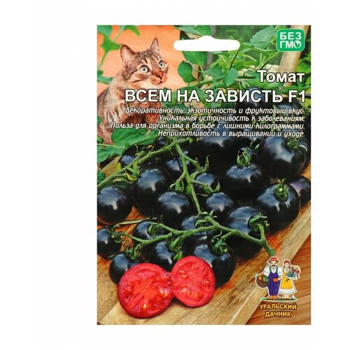 ������ ������ ������ ��������� ������ ����� ���� �� ������� F1, 20 ��. ����