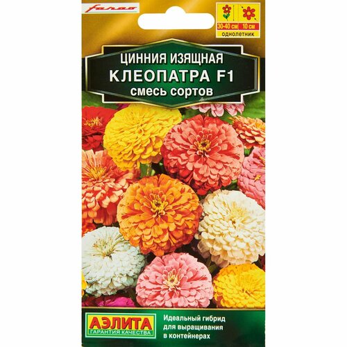 ������ ������ ������ ������ ������ ��������� F1, 12 ��. ����