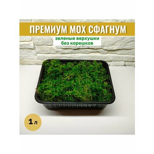 ������ ������ ��� ������� ������ ������ ��� ������ � ������� 1 � ����